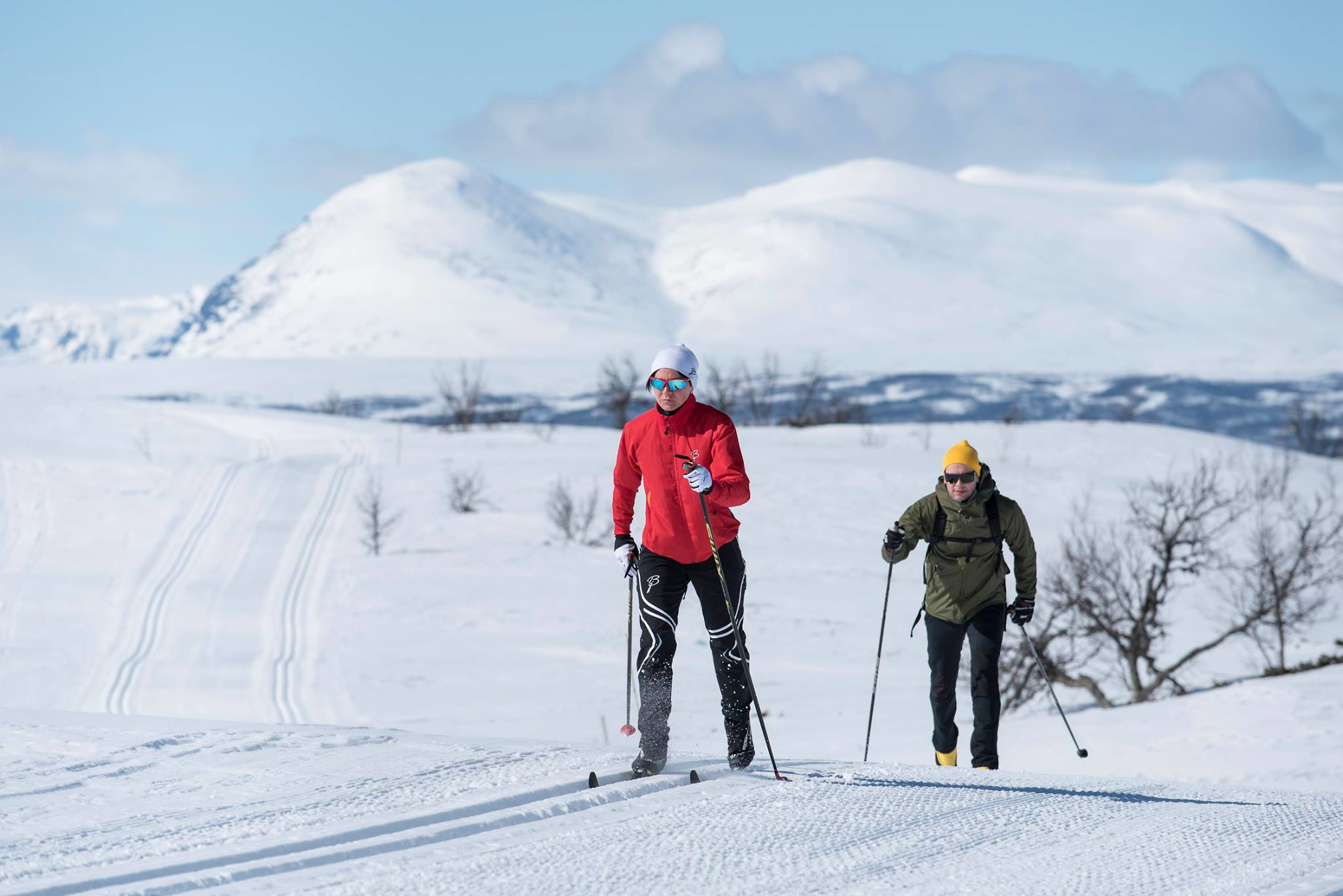 Gomobu - Cross country skiing.jpg