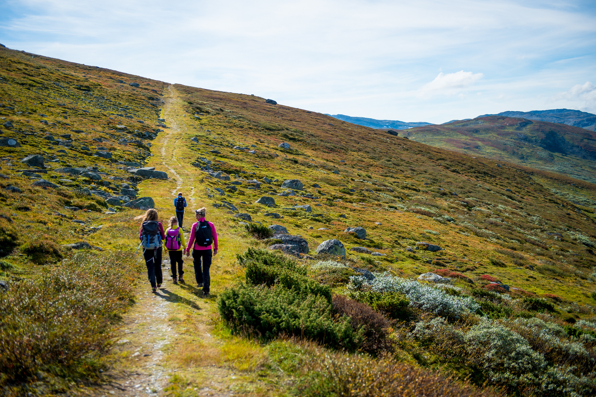 Kongevegen, Kyrkjestølen - Maristova. Foto by Sverre Hjørnevik.jpg