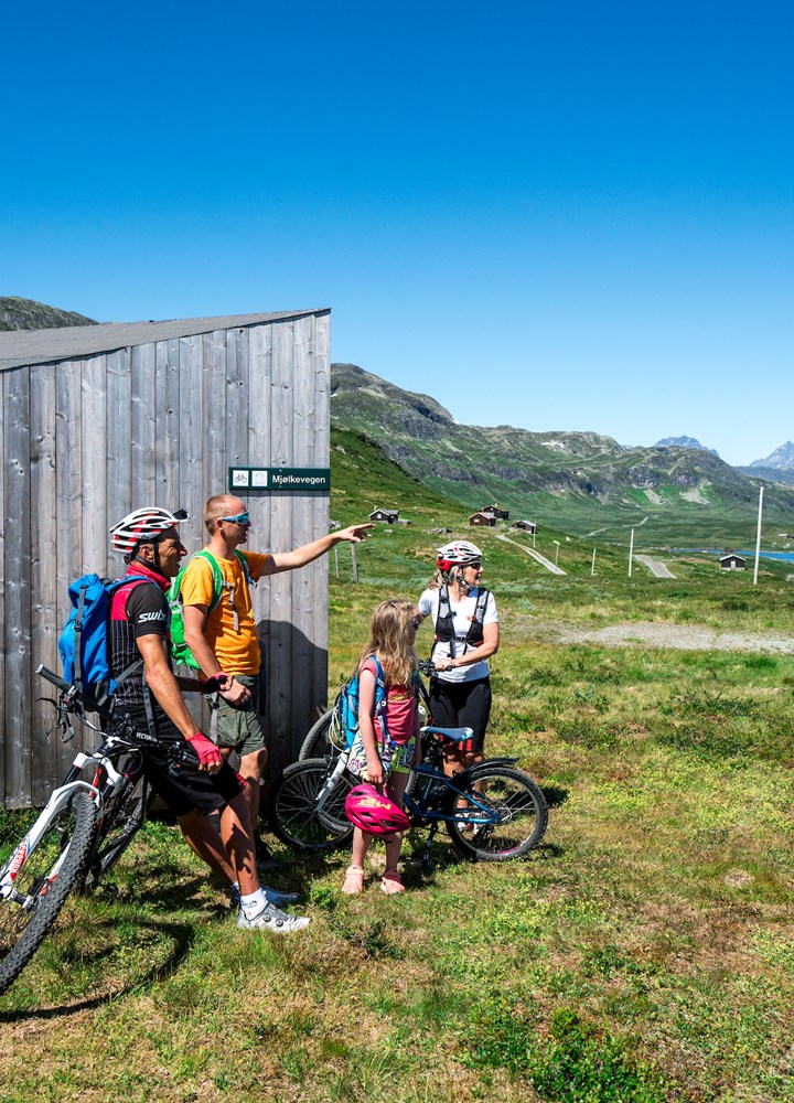 Mjølkerampe at Mjølkevegen.jpg