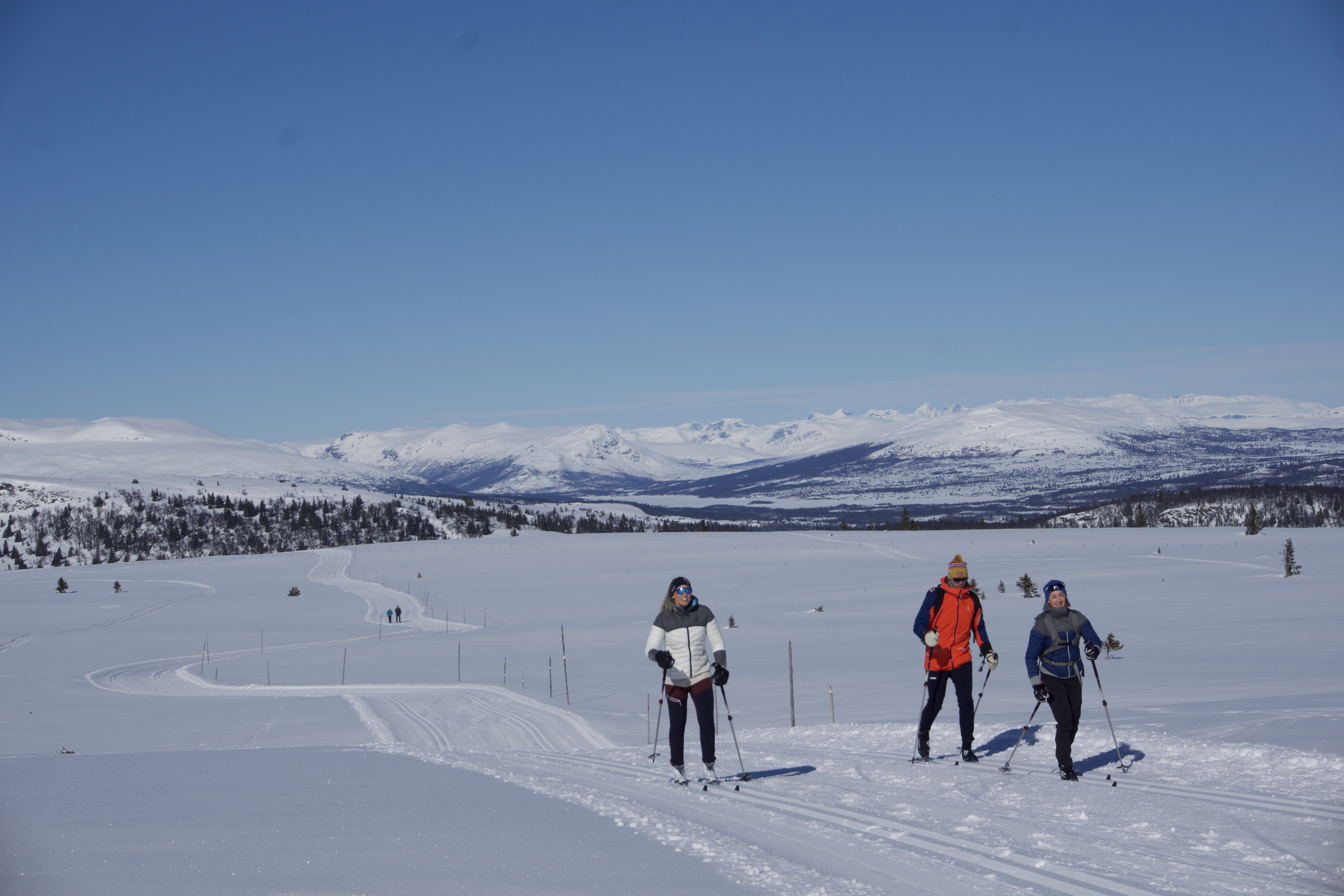 83AB4580 DB33 407E 909D 79EC5422FE8F 1 100 O