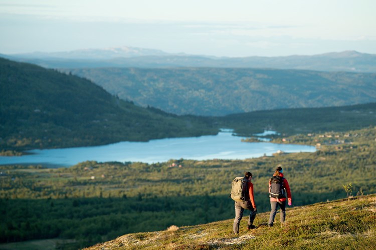 Summer at Vaset. Vaset Utvikling