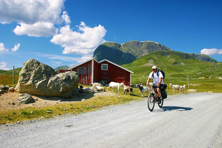 Biking Vinstervatnet/Jotunheimvegen, ved Lykkjestølen.