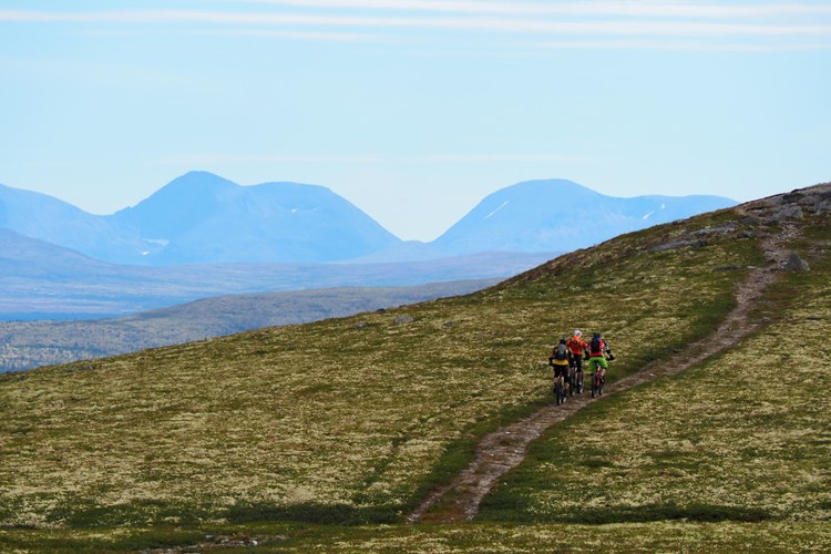 MTB from Urørt Bike Lodge