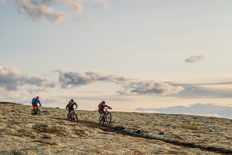 MTB in the Alvdal mountains