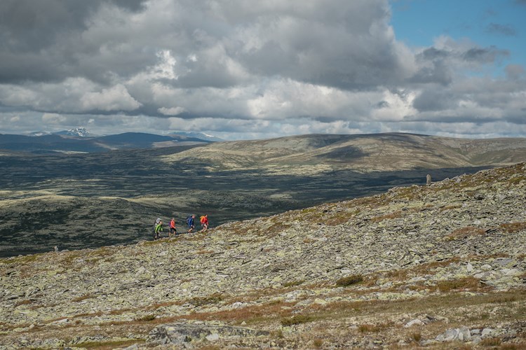 Formokampen, Explore Rondane